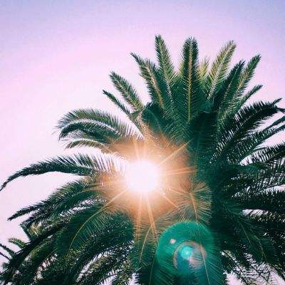 打扑克下载软件