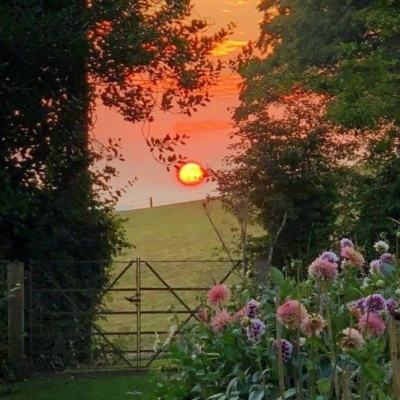 BET9官方APP下载正版手机app下载